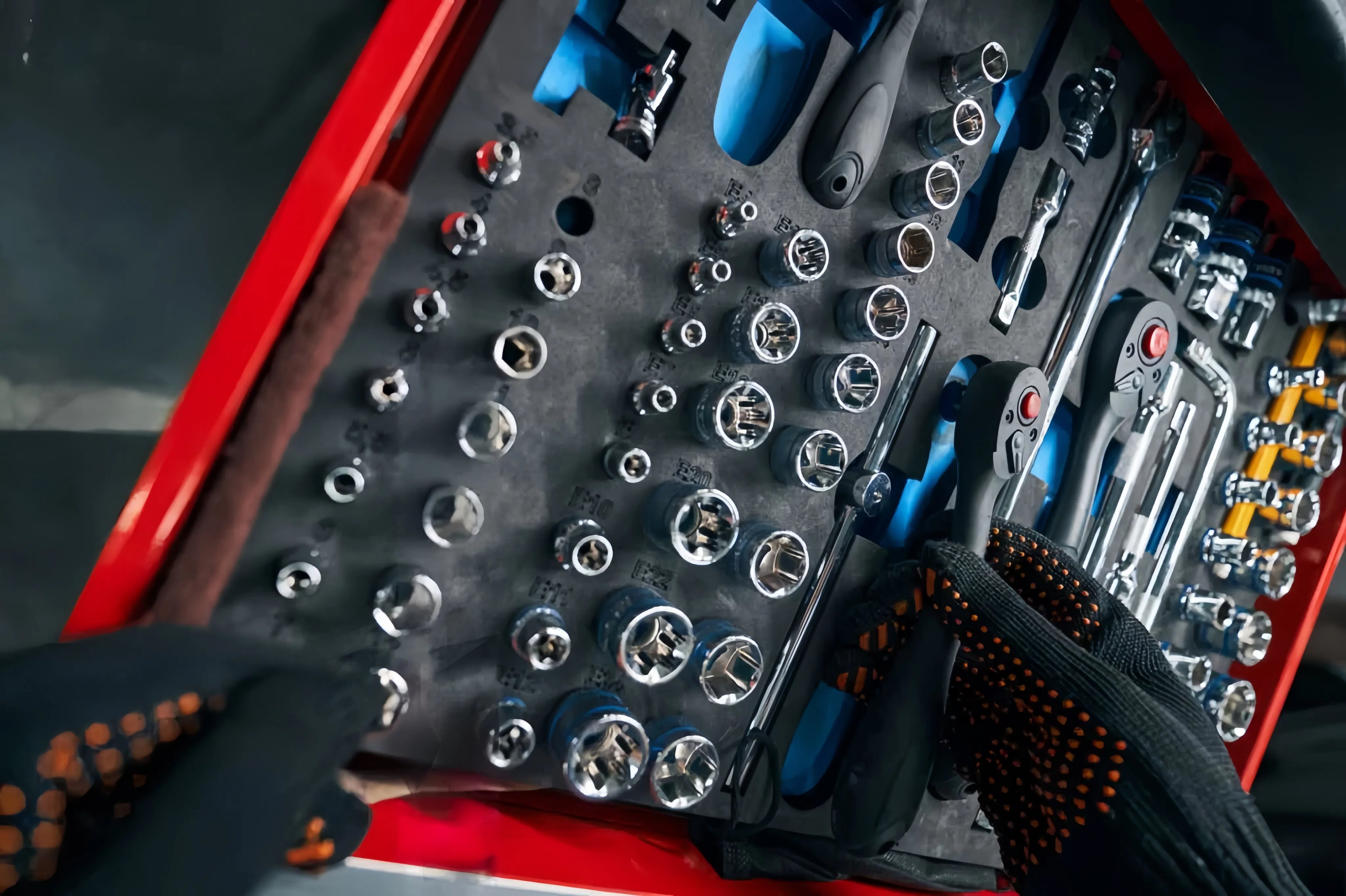 Discover the full range of CCLIFE products